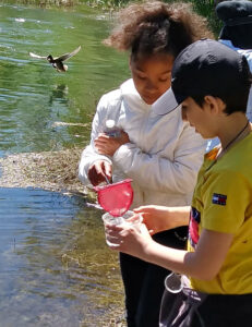 Two children stand on a riverbank closely examining cups of river water