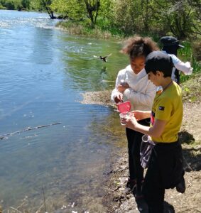 Two children stand on a riverbank closely examining cups of river water