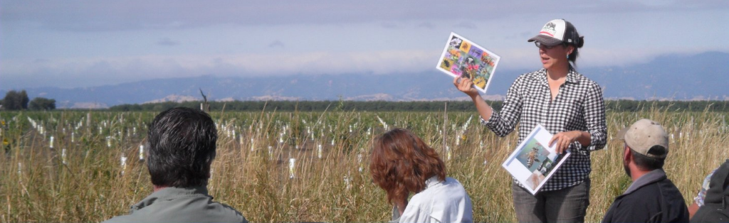 A photo of a person holding a pamphlet in a field