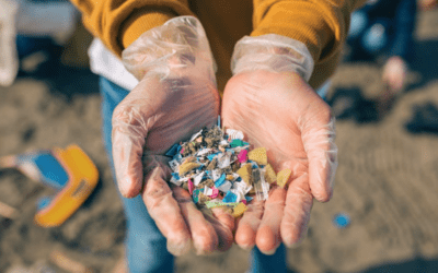 Planeta contra los plásticos: Cómo California lucha contra el problema de la contaminación plástica